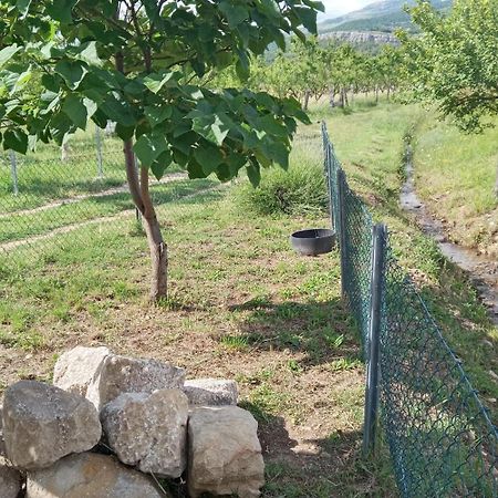 Stone House Vlasta Drniš Eksteriør billede
