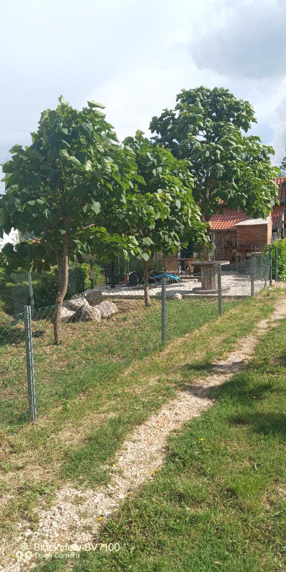 Stone House Vlasta Drniš Eksteriør billede